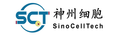 SinoCellTech